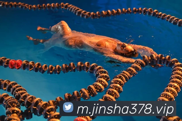 澳门金沙娱乐平台生态图